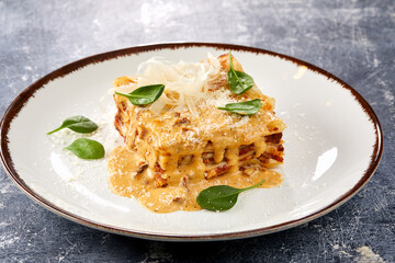 .Traditional homemade italian lasagna with tomato sauce