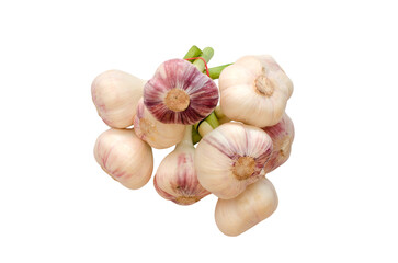 Garlic isolated on white background	