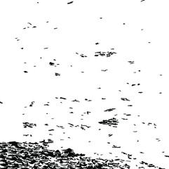 Monochrome texture composed of irregular graphic elements. Distressed uneven grunge background. Abstract vector illustration. Overlay for interesting effect and depth. Isolated on white background.