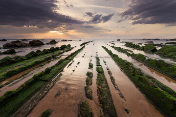 Flysch de la Playa de Barrika en Bizkaia