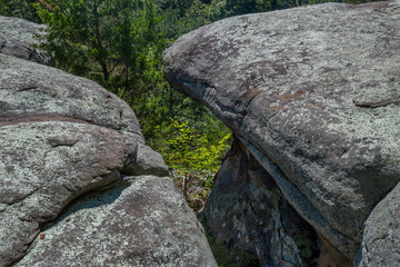 Forest view from the top of a massive lichen covered hoodoo.