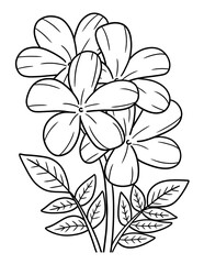 Jasmine Flower Coloring Page for Adults