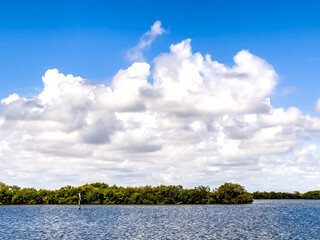 Enjoying a Warm Sunny Florida Day on the River