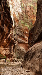 The Canyon- Zion Park