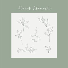 Hand draw floral decoration elements