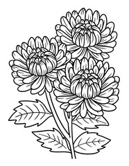 Chrysanthemums Flower Coloring Page for Adults