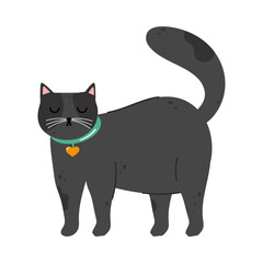 cute cat black pet