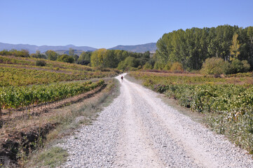 Fototapeta na wymiar Camino de Santiago Spain