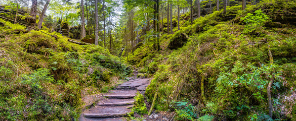 Panoramic view over magical fairytale forest at the hiking trail in the national park Saxon...