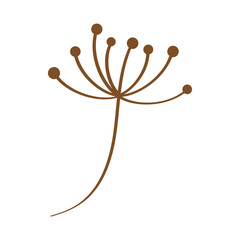 Obraz premium branch with seeds