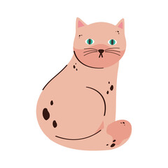 cute pink cat pet