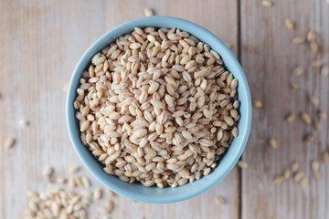 A bowl with raw barley seeds	