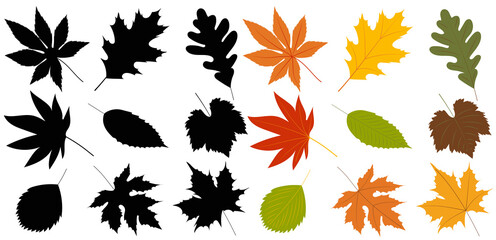 autumn leaves in flat style, isolated, vector