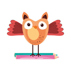 cute owl student