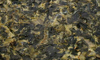 Food background. Closeup view of chard pie.