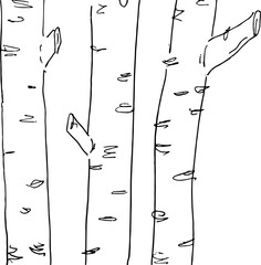 Three birches. Trees in a row. Vector illustration.