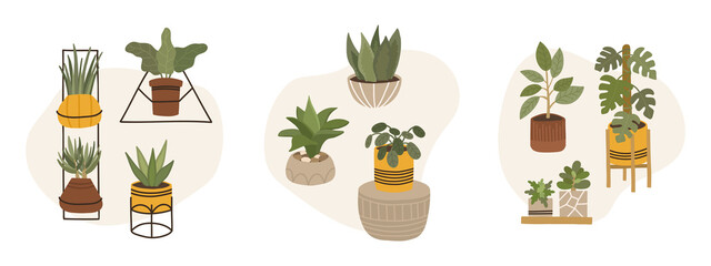 Trendy scandinavian boho potted plants for home. Cozy home garden. Different houseplants isolated on white background.