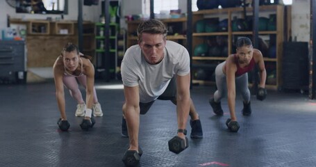 Active people using dumbbells for plank and renegade rows while training in a gym. Group of focused and diverse athletes exercising with heavy weights to gain muscle and endurance in a fitness class - Powered by Adobe