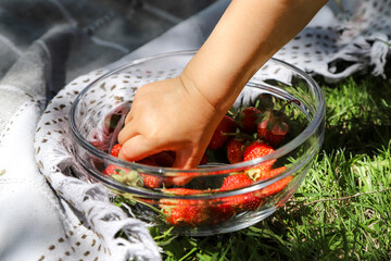 Summer picnic. Little child taking a sweet tasty strawberry from the glass bowl