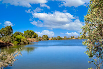 Beautiful view of a lake surrounded by colorful deciduous trees during summer under a sky with fluffy clouds. Green forest on the lake shore. Bright summer lakes landscape in day. Trees grow in water