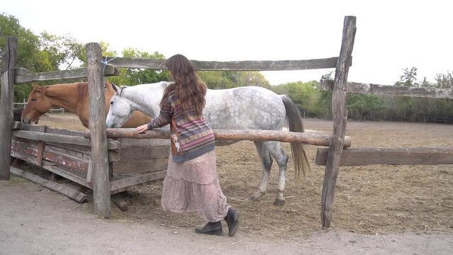 Slow Motion Young woman in dress standing outdoors near horse
