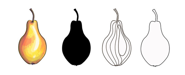 Set of four pears - cartoon style, black silhouette, doodle and outline. Vector illustration isolated on white background