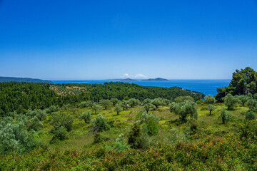 Fototapeta na wymiar Beautiful natural scenery on the road to Megali Ammos or large sand beach in western Alonissos island, Greece