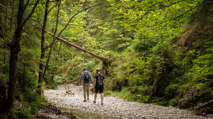 Two friends are traveling through the mountains in the summer with backpacks. In the mountain forest.