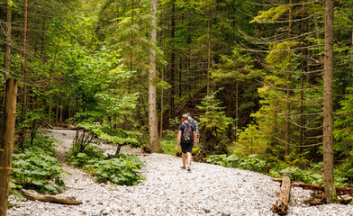 Two friends are traveling through the mountains in the summer with backpacks. In the mountain forest.