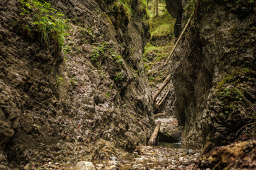 Naklejka na ściany i meble Rocks, forest, river bed in Slovak paradise