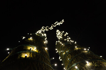 christmas tree at night