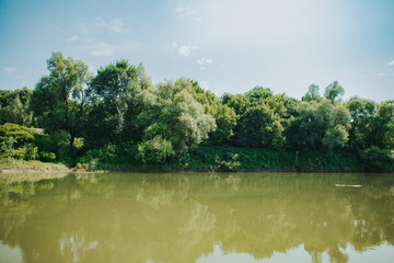 Obraz na płótnie Canvas river and trees