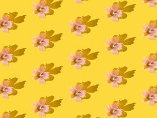 Pink flowers with shadow on a yellow background. Pattern.