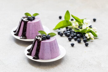 Vegan dessert. Blueberry cream pudding, Panna Cotta with sauce on a plate. Light gray background