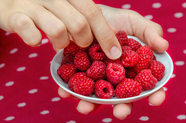 Saucer with raspberries in children's hands