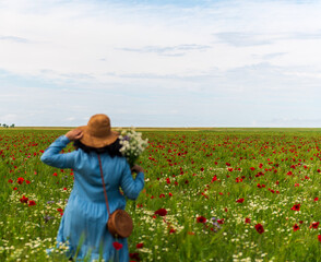 poppy field. beautiful view of the poppy field. girl in the poppy field.