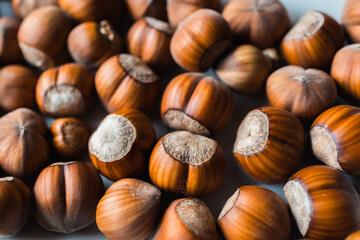 Background of european hazelnut. Corylus avellana texture. Selective focus.