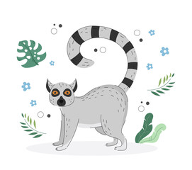 Exotic cute lemur