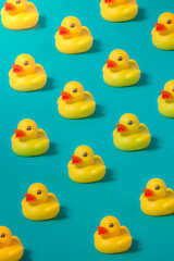 yellow rubber duck in blue color background 