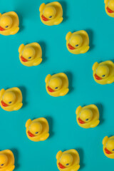 yellow rubber duck in blue color background 