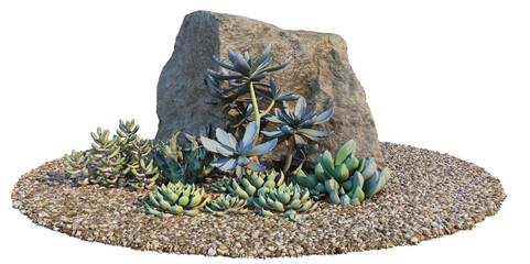 Cactus garden with gravel and stone Decorate on a white background