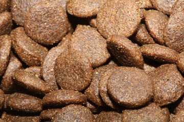 Dogs dry round food close up animals eating background high quality big size print