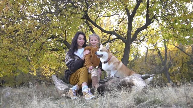 Slow Motion The family is in the field with corgi