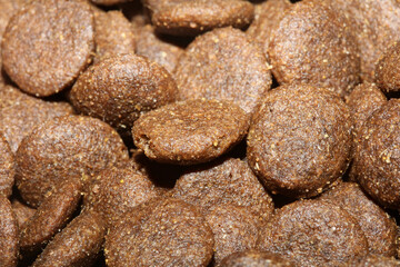 Dogs dry round food close up animals eating background high quality big size print