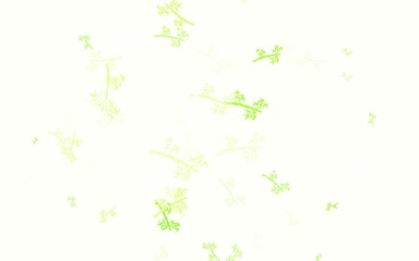 Light Green vector natural backdrop with branches.