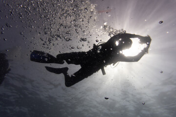 silhouette of a person diving