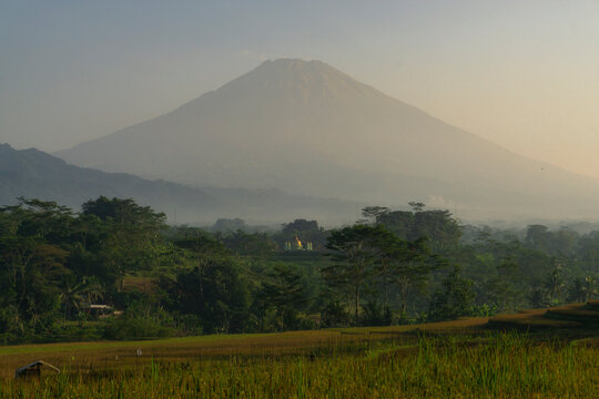 Mosque with golden dome in the middle of rice field and mountain on the background. Kajoran rice field, Central Java, Indonesia