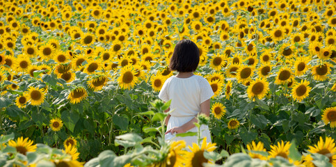 A girl standing in a sunflower field. 向日葵畑に立つ女の子