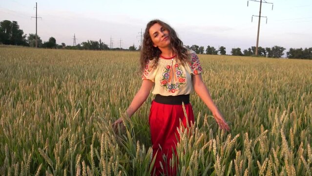 Slow Motion Pretty woman dressed in embroidered clothes among of wheat field