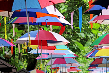 Decorative of the umbrella in the park